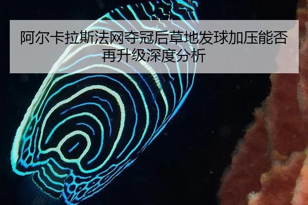 阿尔卡拉斯法网夺冠后草地发球加压能否再升级深度分析